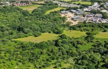 Land on East Side of Ivyhouse Ln